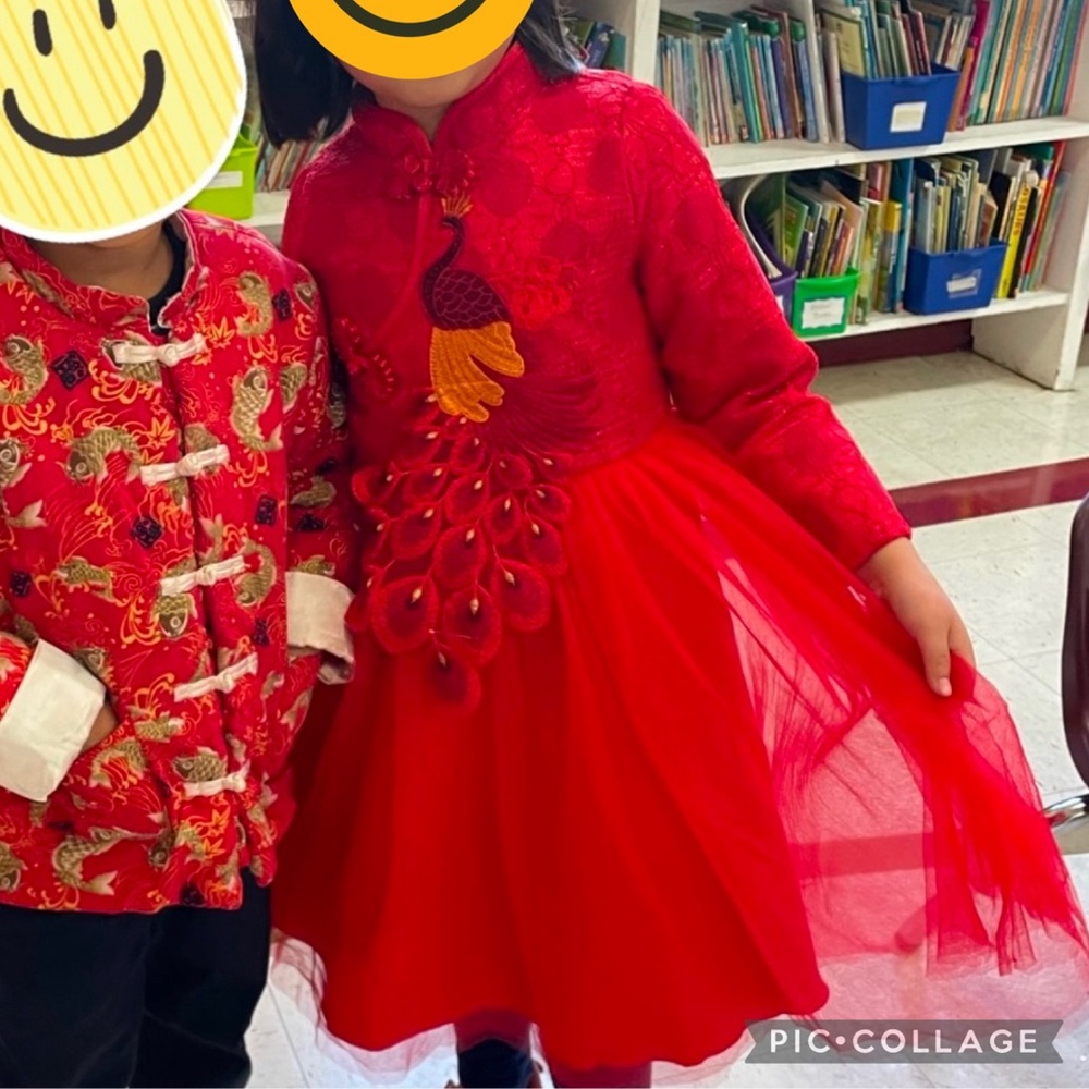 Girls Lunar New Year Dress - size 9-10